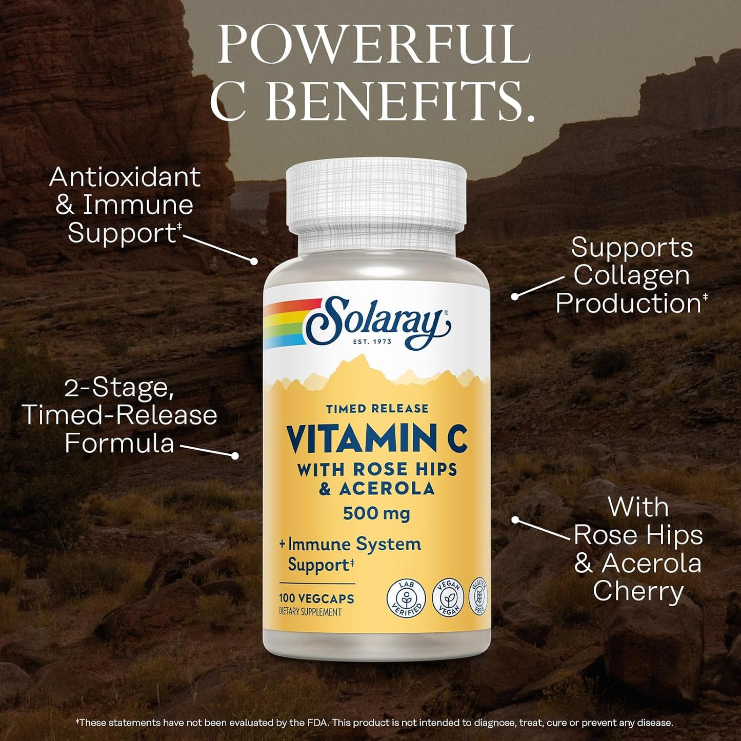 SOLARAY Vitamin C with Rose Hips – Timed Release Capsules, 500 mg, 100 Count - görsel 3
