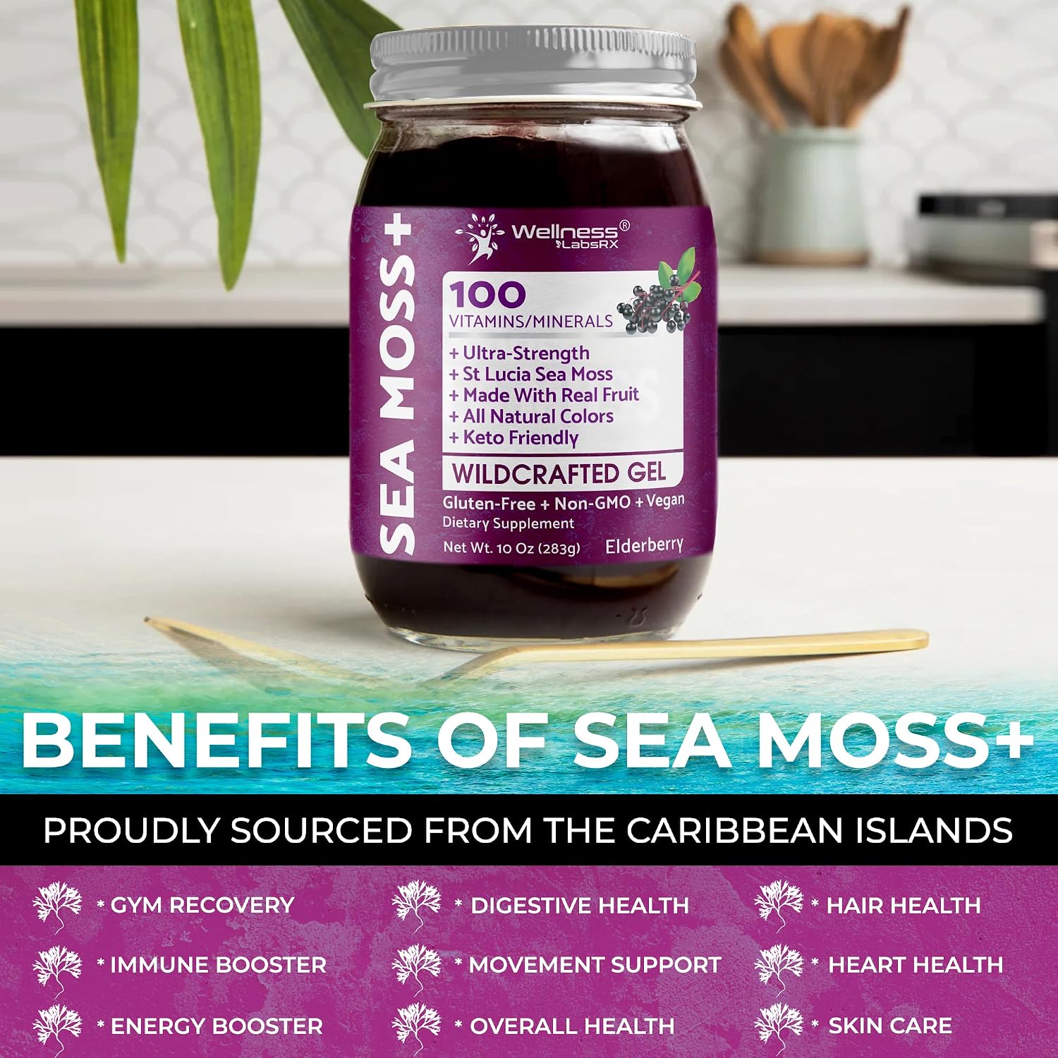 WELLNESS LABSRX Irish Sea Moss Gel Raw – Wildcrafted Seamoss Gel, Elderberry Flavour, Vitamin & Mineral-Rich, Immune & Digestive Health Support – 283 g (10 oz) - görsel 6