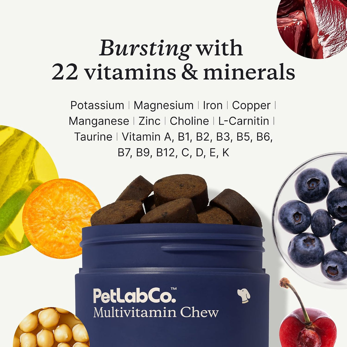 PetLab Co. 22 in 1 Dog Multivitamin - Chewable Pork Flavour Supplement for Immune, Skin, Coat & Joint Health - görsel 4