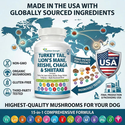 Nutrition Strength 15-in-1 Mushroom Support for Dogs | Immune System and Cognitive Health | 90 Chewable Tablets