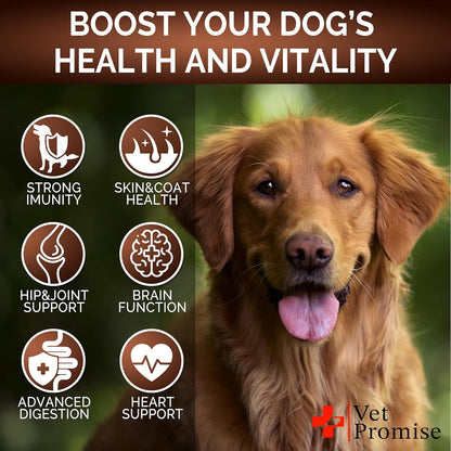 Turkey Tail Mushroom for Dogs - 170 Chews - Mushroom Multivitamin with Lion's Mane, Reishi, Probiotics, and Omega-3