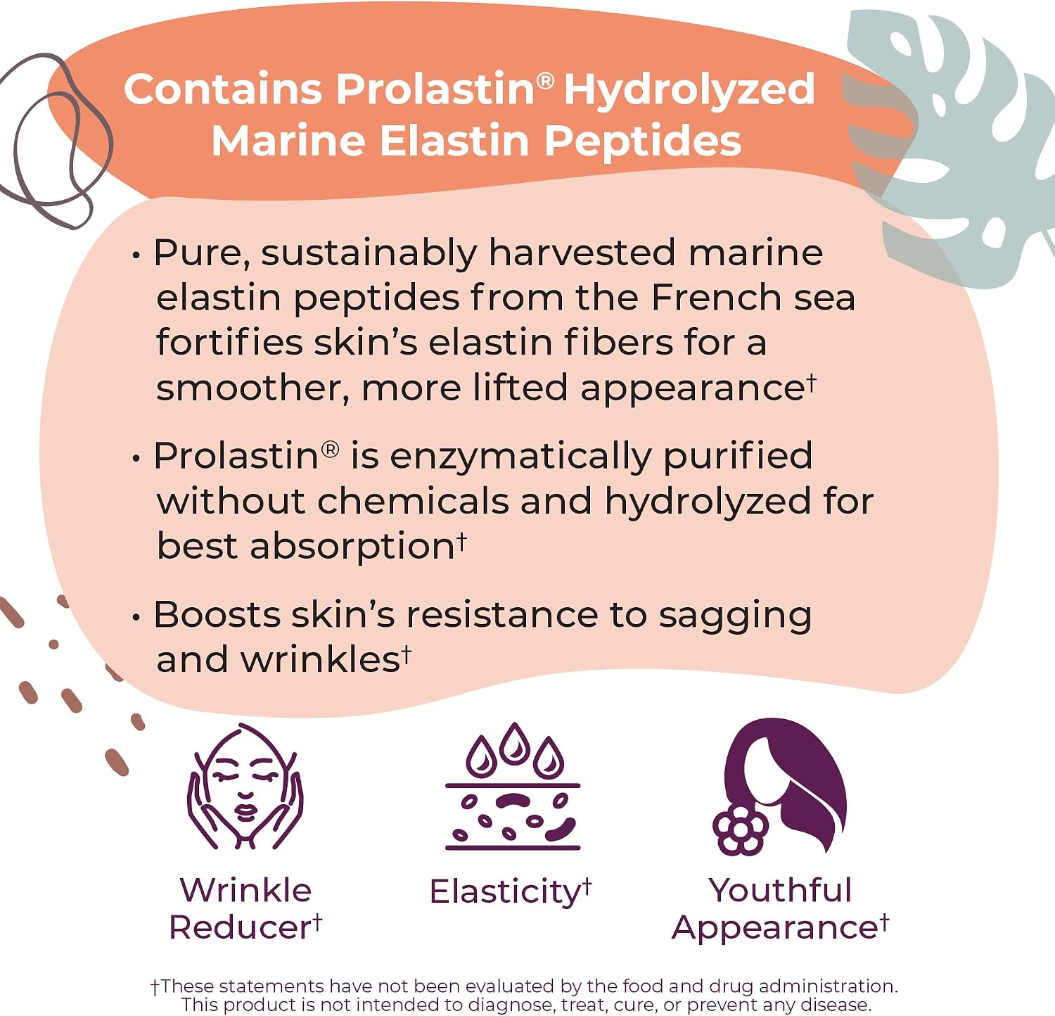 Body Kitchen Pro Elastin Peptides 1000mg – Marine-Derived Supplement for Skin Firmness and Elasticity, 60 Capsules (Pack of 2) - görsel 6
