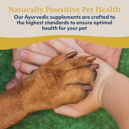 Ayush Pet Neem Plus – Neem Supplement for Dogs, 90 Capsules
