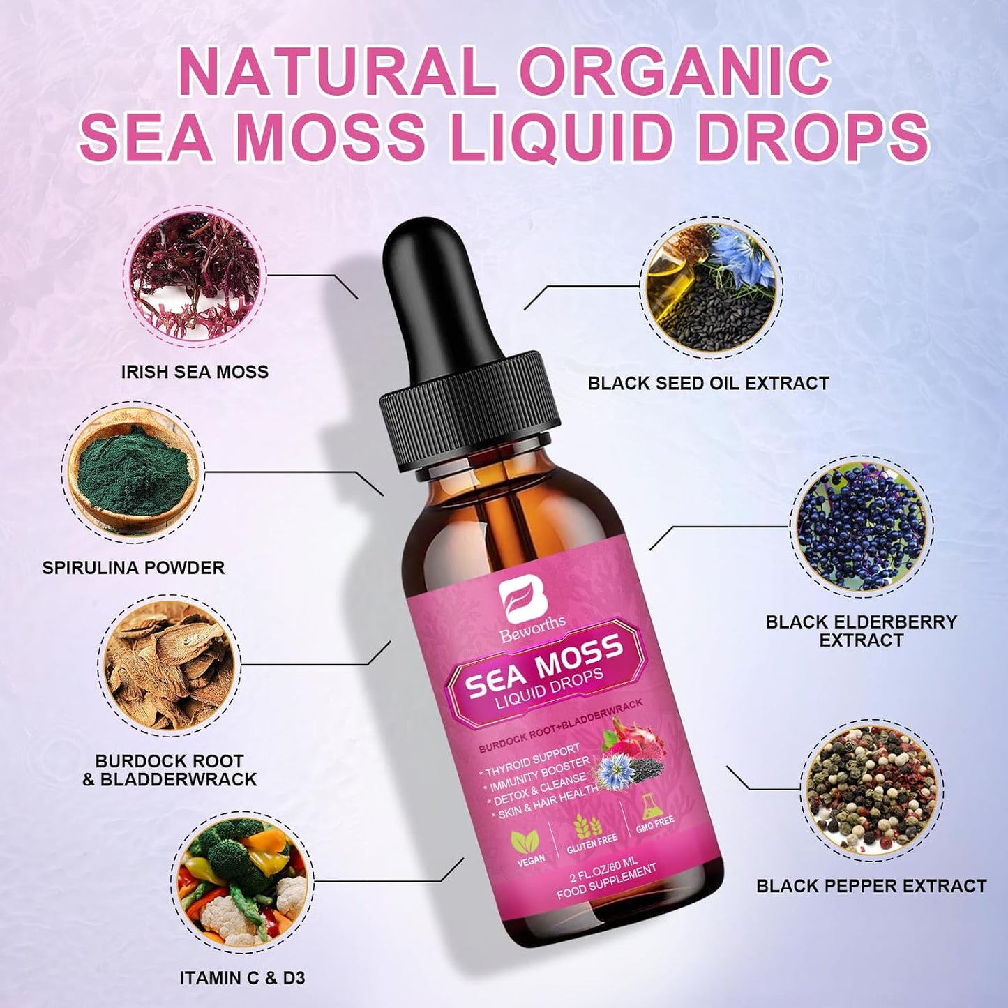 B BEWORTHS Organic Sea Moss Liquid Drops with Black Seed Oil, Elderberry & Ashwagandha - görsel 2