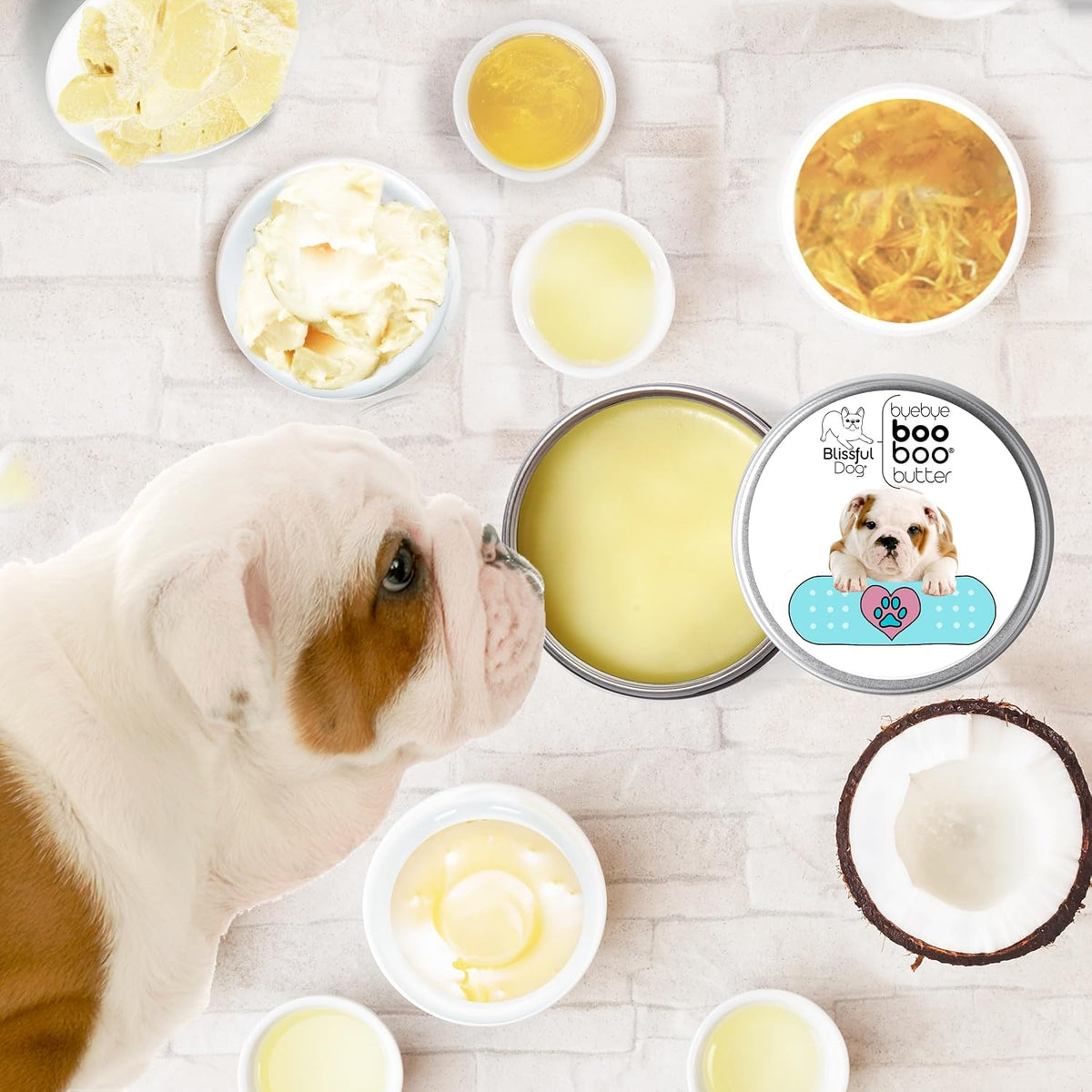 The Blissful Dog 4 oz Tin Bulldog Booboo Butter - görsel 2