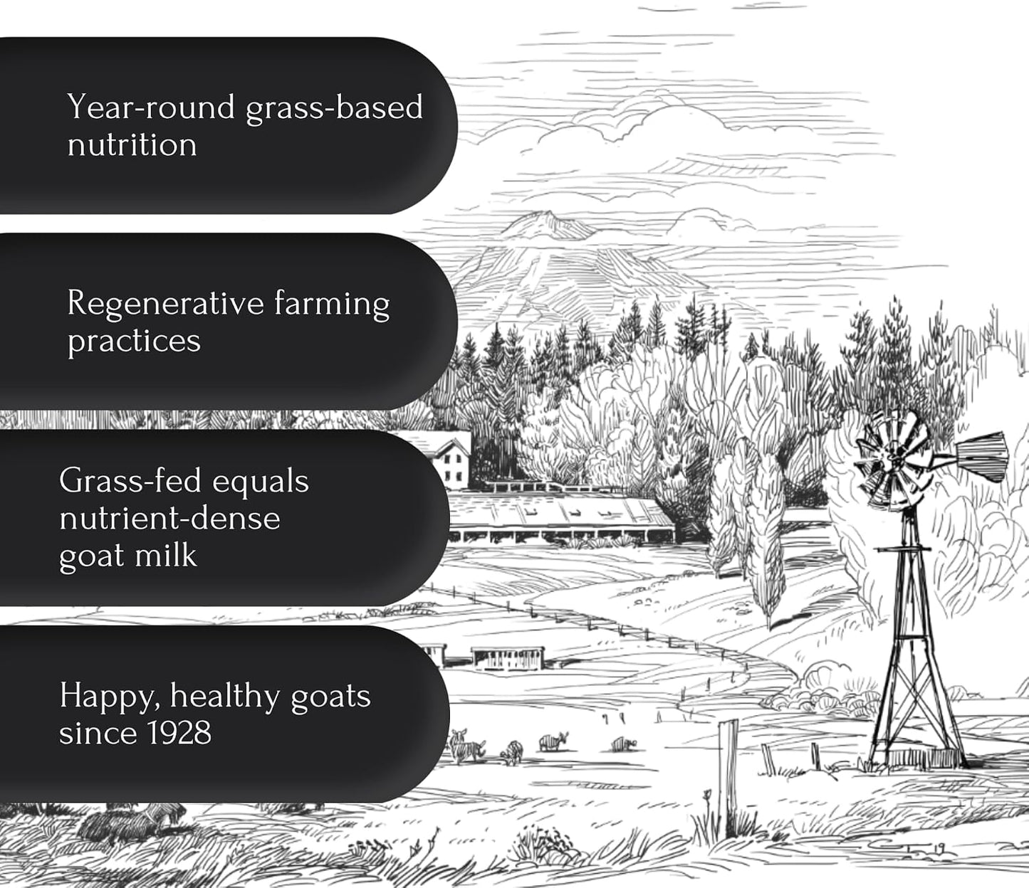 Mt. Capra Goat Colostrum – Grass-Fed, Rich in Immunoglobulins, 50g (17 Servings) - görsel 4