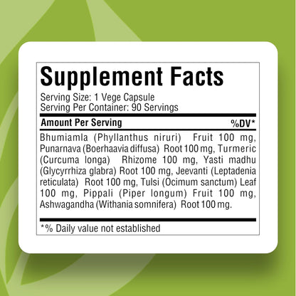 Herbsforever Enviro Care Capsules – Ayurvedic Herbal Supplement, 90 Vegetable Capsules, 800 mg Each