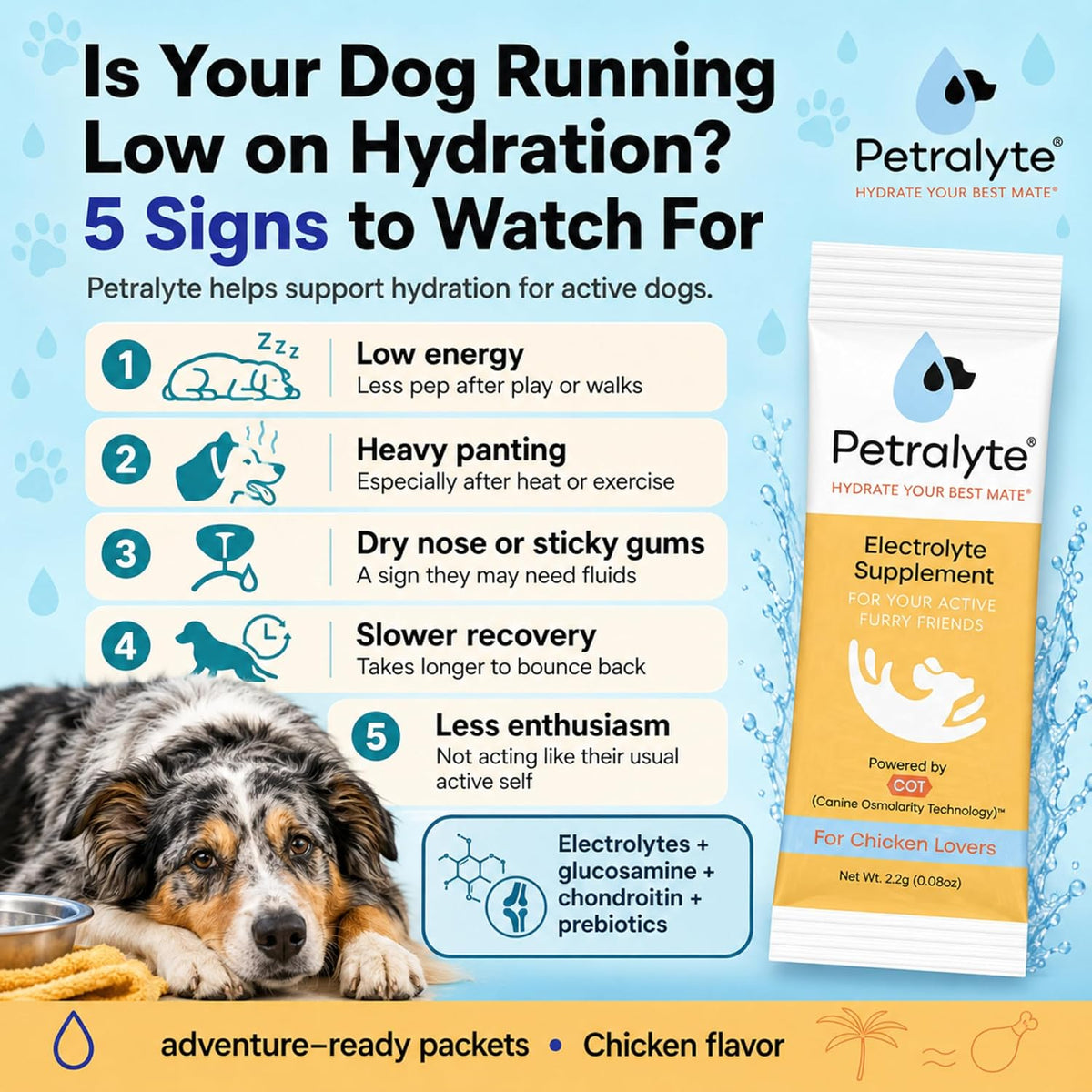 Petralyte Dog Electrolytes and Joint Supplement | Hydration Support with Glucosamine, Chondroitin & More | Electrolytes for Dogs with Prebiotics | Chicken Flavour | 16 Packets - görsel 7