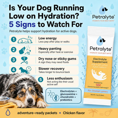 Petralyte Dog Electrolytes and Joint Supplement | Hydration Support with Glucosamine, Chondroitin & More | Electrolytes for Dogs with Prebiotics | Chicken Flavour | 16 Packets