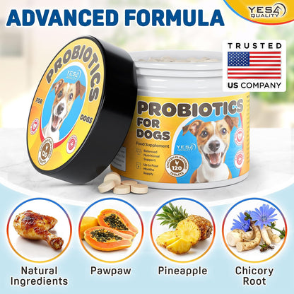 Dog Probiotics - Prebiotic & Probiotic Chews - Supports Immunity, Digestive & Gut Health - 120 Chicken Flavoured Tablets