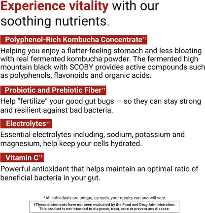 ACTIVATEDYOU Daily Digestive Tonic – Kombucha with Prebiotic Fibre, Probiotics, Postbiotics & Vitamin C for Healthy Digestion & Energy – Berry Lemonade Flavour (30 Servings)