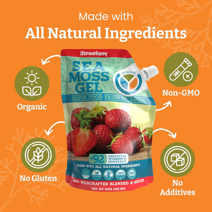 Yemayá Organic Sea Moss Gel - Wildcrafted Raw Seamoss with Real Fruit, 454 g (Strawberry)