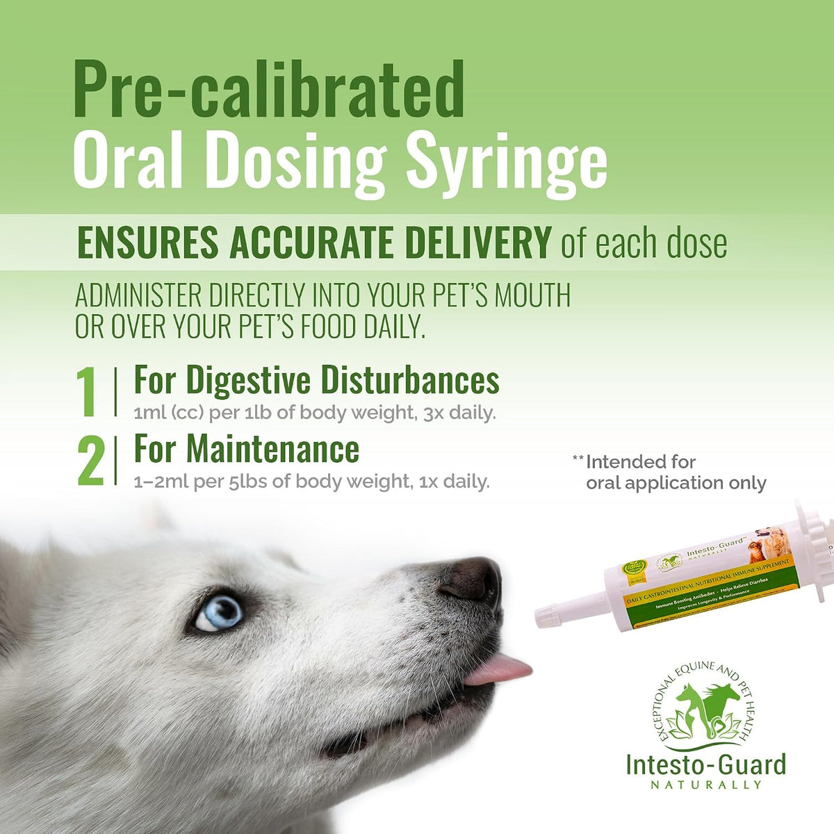 Probiotic Paste for Dogs – Prebiotic Gut Support & Immune Boost, All Natural, 60ml - görsel 6