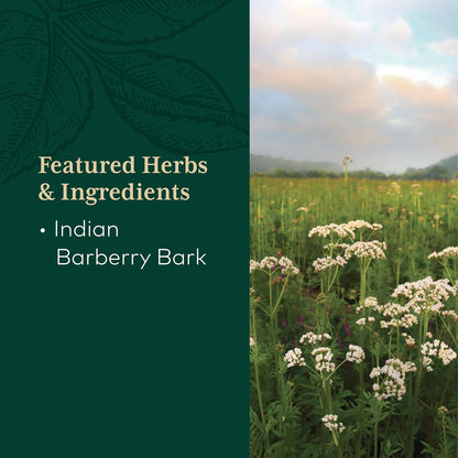 Gaia Herbs PRO Berberine Metabolic - Berberine HCI Food Supplement - Vegan, Gluten-Free, Soya-Free - 60 Capsules