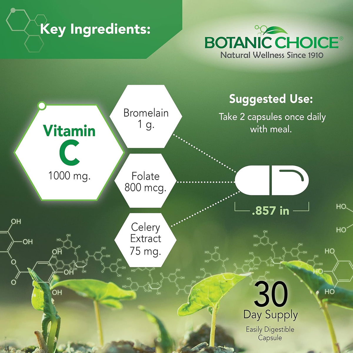 Botanic Choice Uric Acid Complex - Celery Seed & Bromelain Food Supplement, 60 Capsules - görsel 3
