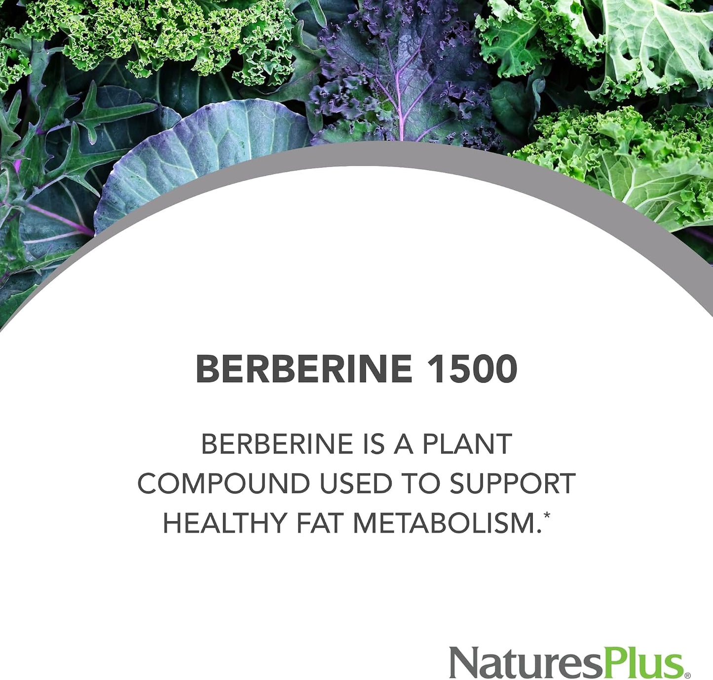 NaturesPlus PRO Berberine 1500 mg - 60 Tablets - Supports Healthy Metabolism - Non-GMO, Vegan & Gluten-free - 30 Servings - görsel 4