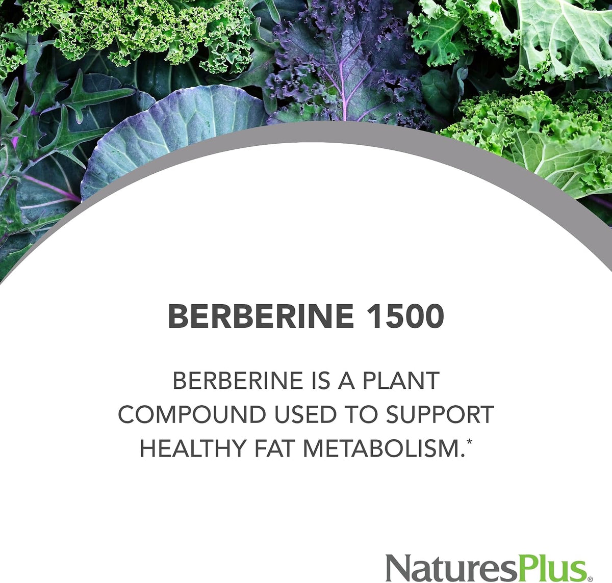 NaturesPlus PRO Berberine 1500 mg - 60 Tablets - Supports Healthy Metabolism - Non-GMO, Vegan & Gluten-free - 30 Servings - görsel 4