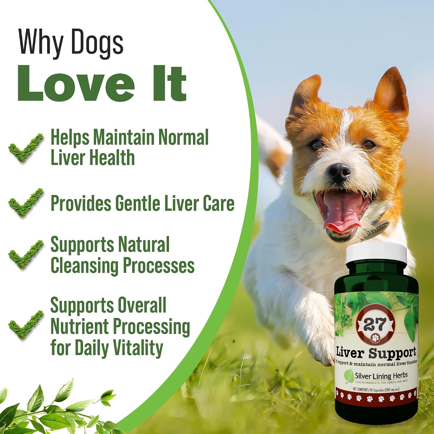 Dog Liver Support - Natural Herbal Dog Vitamins with Milk Thistle Extract, Turmeric, Chamomile & More - Daily Canine Wellness for Liver Support - 90 Capsules - görsel 2