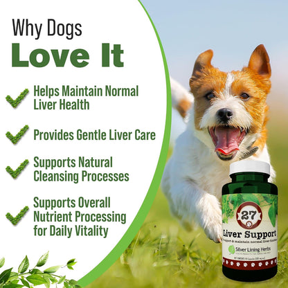 Dog Liver Support - Natural Herbal Dog Vitamins with Milk Thistle Extract, Turmeric, Chamomile & More - Daily Canine Wellness for Liver Support - 90 Capsules