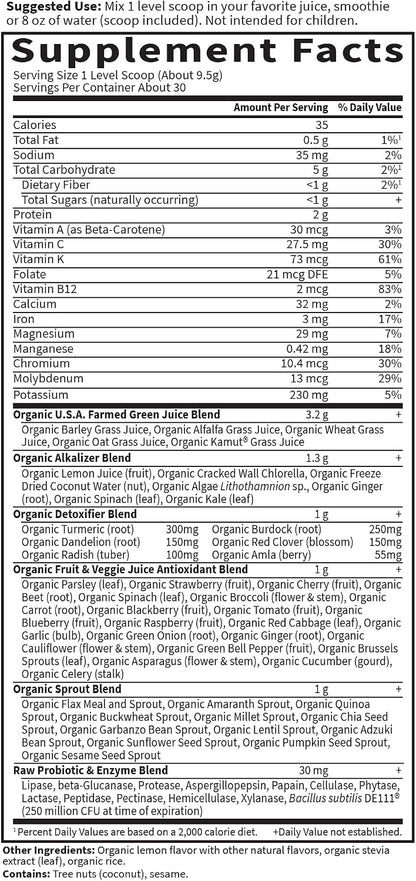 Garden of Life Raw Organic Perfect Food Alkalizer and Detoxifier, Lemon Ginger Flavoured Superfood Powder Supplement, 30 Servings