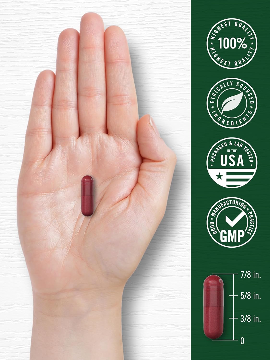 Carlyle Beet Root Capsules, 120 Count – Quick Release, Non-GMO & Gluten-free Supplement - görsel 7