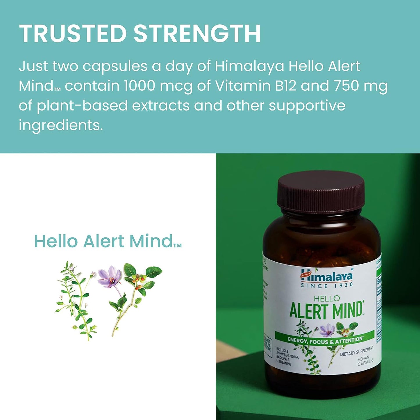 Himalaya Hello Alert Mind - Brain Support with L-Theanine, Ashwagandha, Bacopa, Vitamin B6 & B12, 60 Capsules - görsel 6
