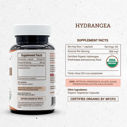 Secrets of the Tribe Hydrangea USDA Organic Capsules | Certified Organic Vegetarian Capsules, Herbal Food Supplement | Hydrangea arborescens Dried Root (60 Capsules)