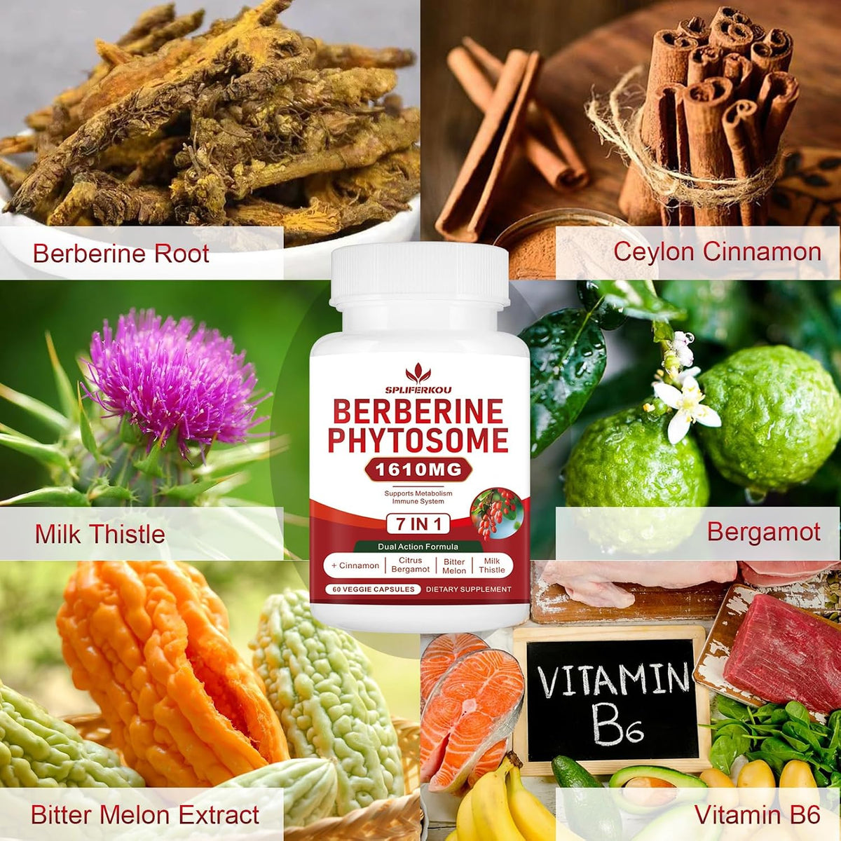 Spliferkou 7-in-1 Berberine Phytosome & Ceylon Cinnamon Complex – 60 Capsules - görsel 4