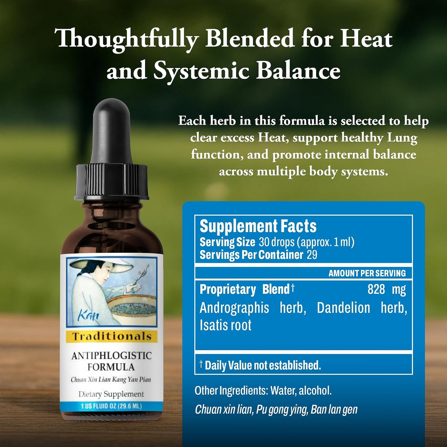 Kan Herbs Antiphlogistic Formula – Traditional Chinese Herbal Blend for Supporting Heat Balance Across Body Systems, Promoting Lung and Digestive Comfort, Liquid Extract, 30ml - görsel 3