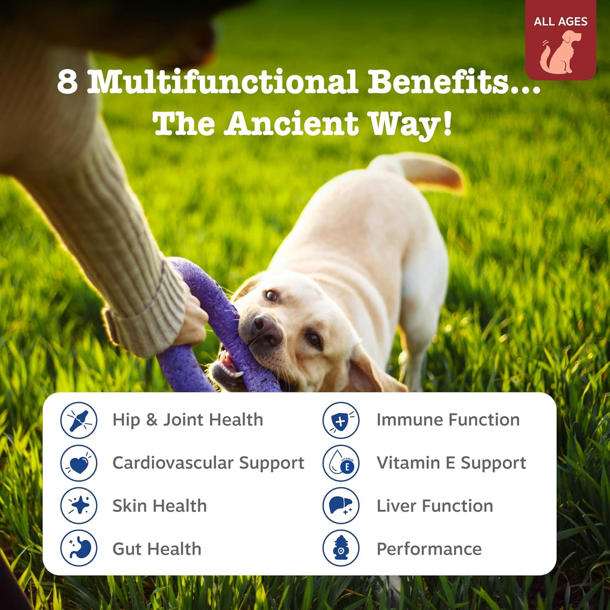 Zesty Paws Dog Multivitamin – 8-in-1 Chewable Supplement with Glucosamine, Omega-3 & Probiotics – Bison – 90 Count - görsel 2
