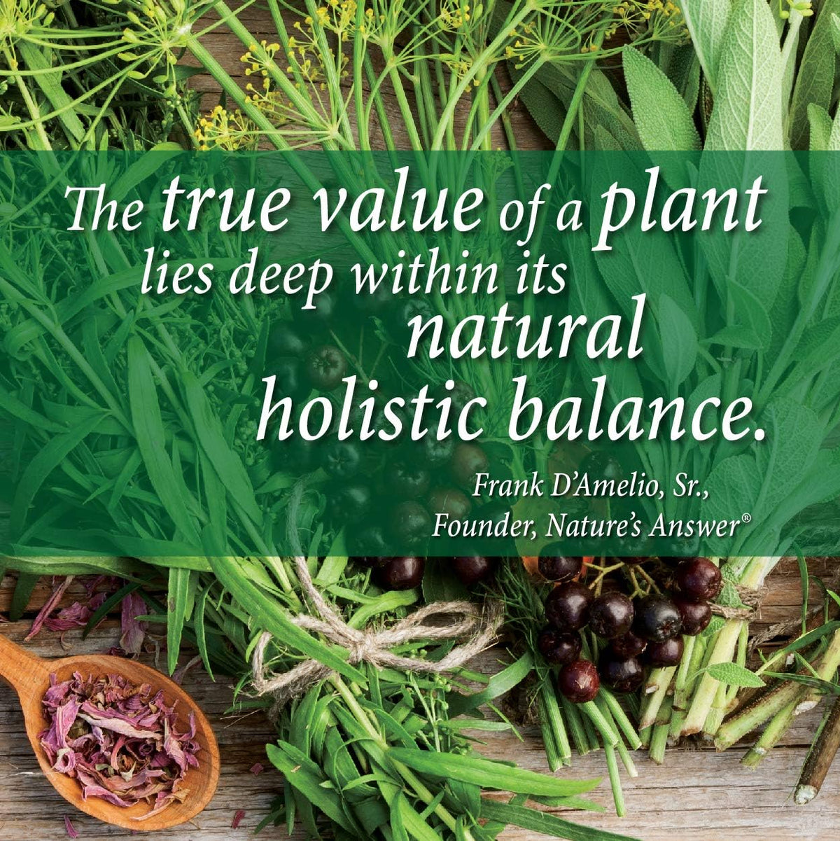 Nature's Answer Tense-Ease with Ashwagandha 2000mg 60 ml Liquid Extract - Mood Support - görsel 4
