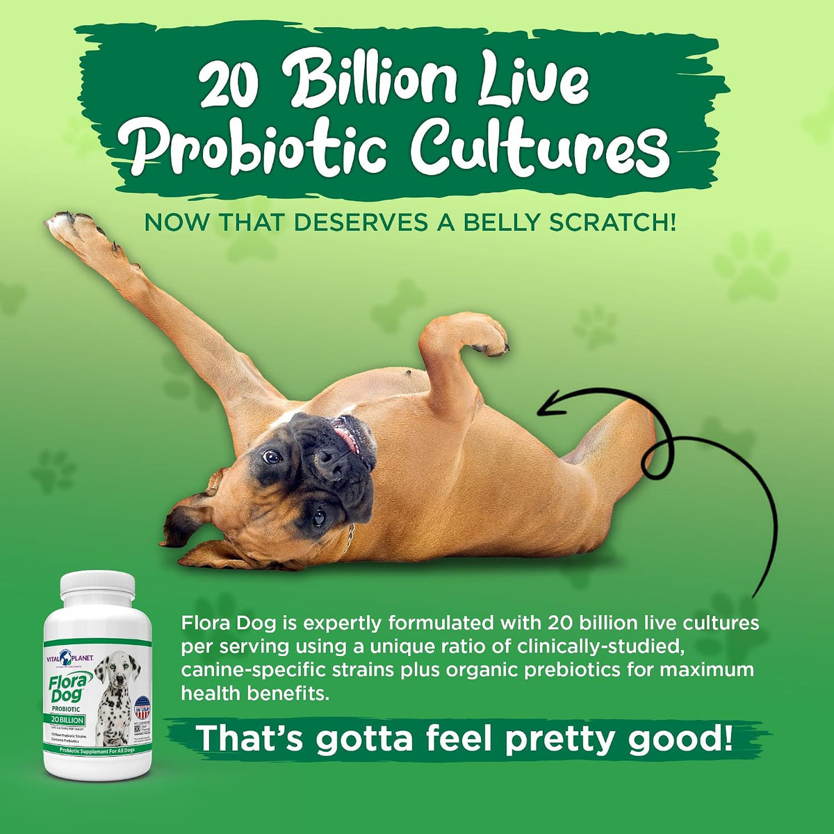 Flora Dog Probiotic Chewable Tablets for Dogs - 20 Billion CFU, 10 Strains - görsel 5