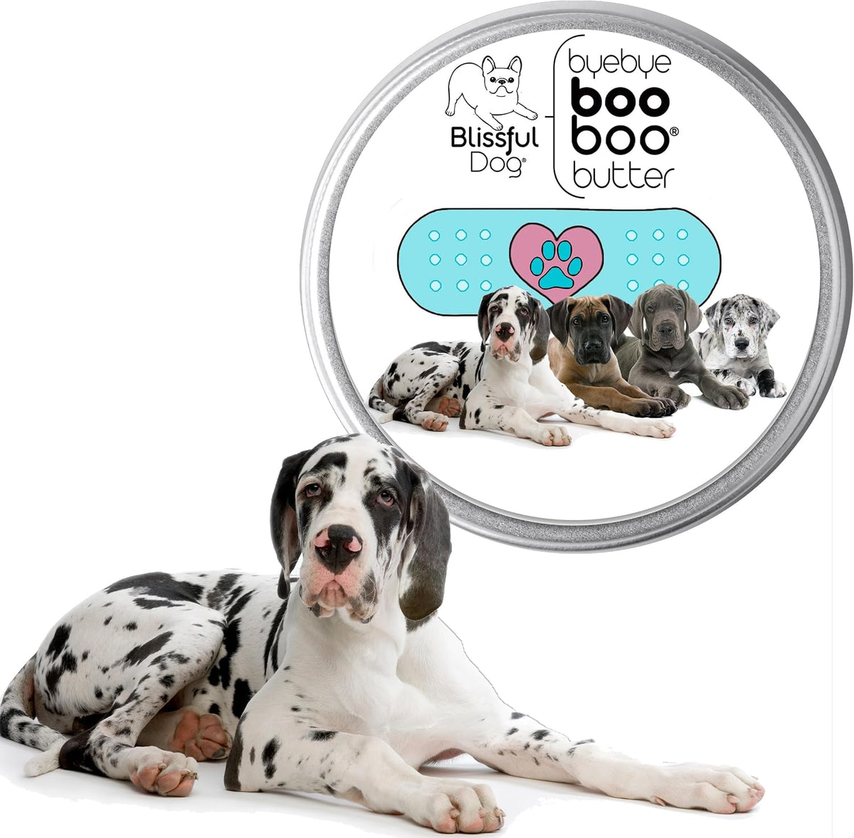The Blissful Dog 8 oz TIN Great Dane Booboo Butter - görsel 2