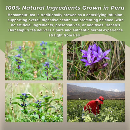 Hanan Peruvian Secrets Hercampuri – 100% Natural Gentianella Alborosea 40g (1.41oz) – Traditional Herbal Tonic