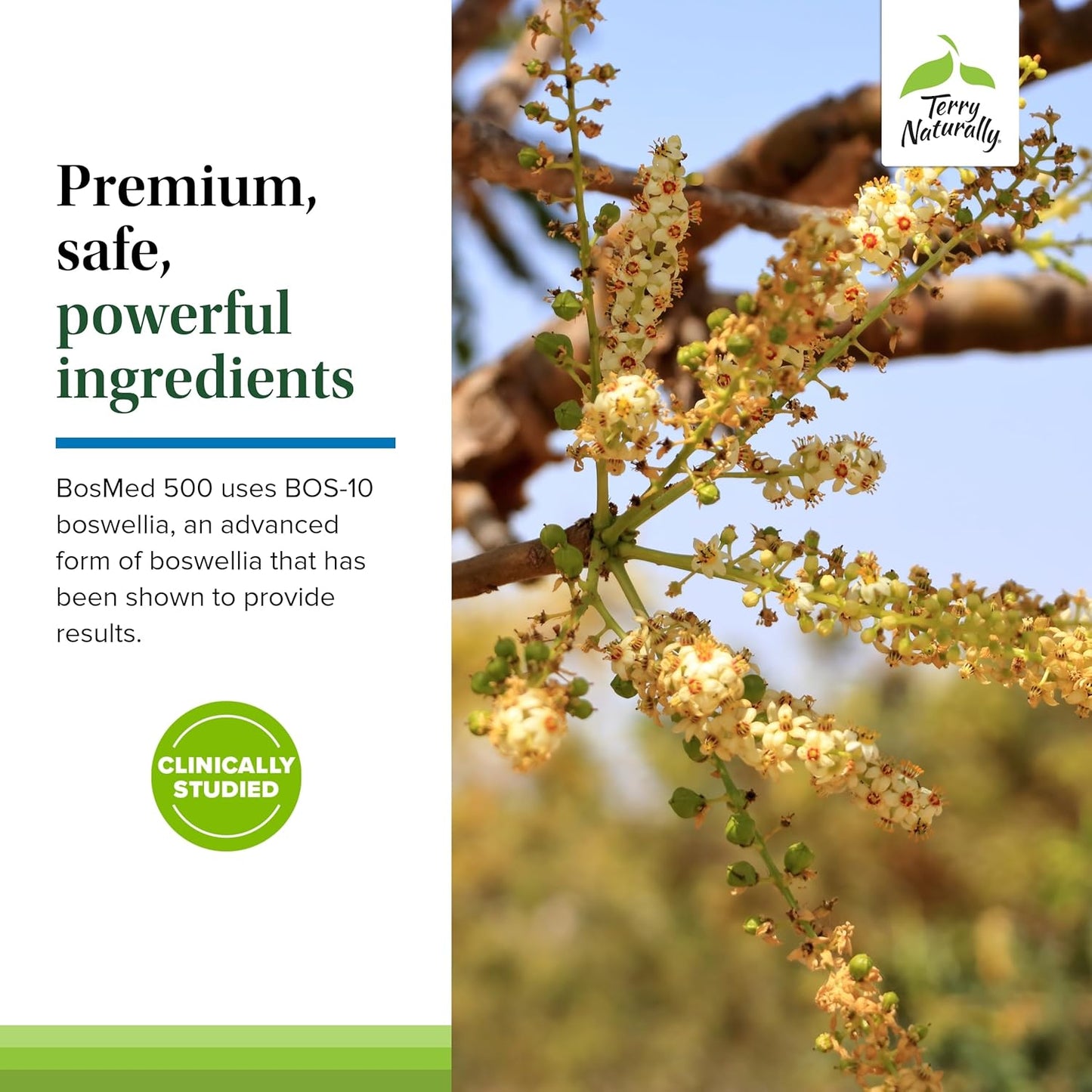 Terry Naturally BosMed 500 Extra Strength - Boswellia Serrata Extract Supplement - Herbal Support for Healthy Lungs - 60 Softgels (Pack of 2) - görsel 5