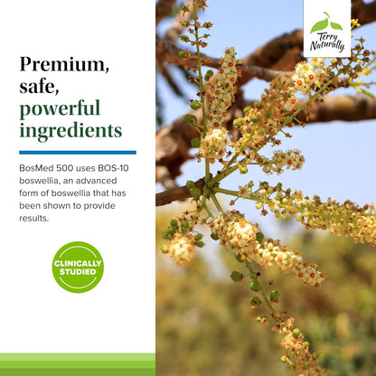 Terry Naturally BosMed 500 Extra Strength - Boswellia Serrata Extract Supplement - Herbal Support for Healthy Lungs - 60 Softgels (Pack of 2)