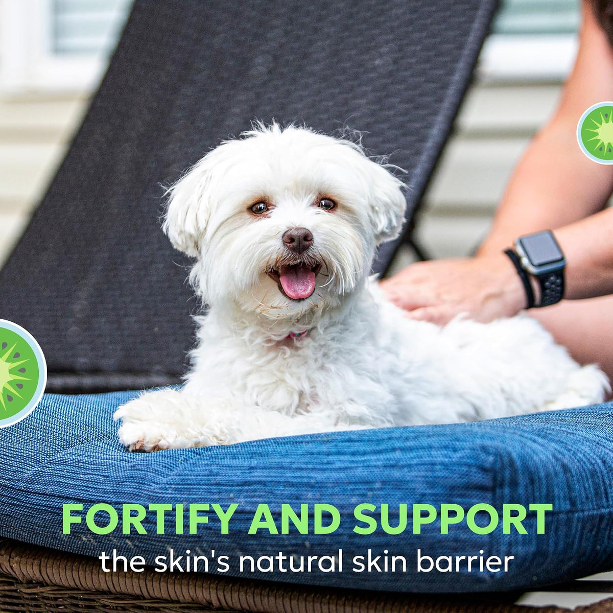 Nutramax Dermaquin Skin Support Supplement for Dogs and Cats - with Hardy Kiwi & Omega-3s, 60 Soft Chews - görsel 4