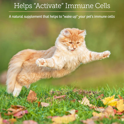 Rx Vitamins GlucaMune – Immune Support Supplement with Beta Glucan for Dogs and Cats (90 Capsules)