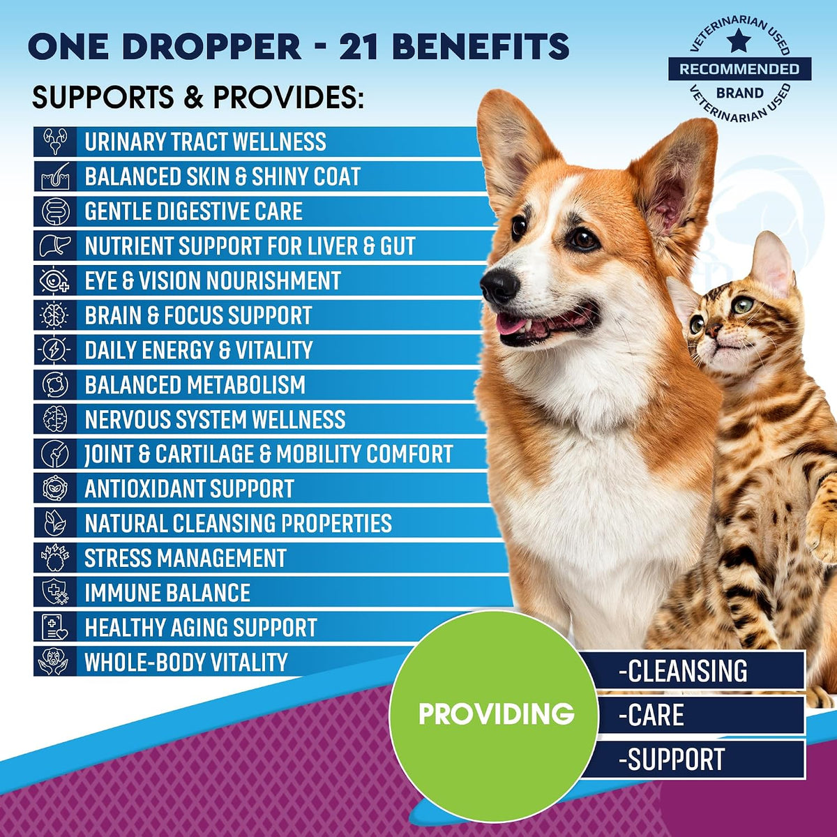 Beloved Pets Cat & Dog Multivitamin Liquid – 21-in-1 Support with Glucosamine & Cranberry (60ml) - görsel 2