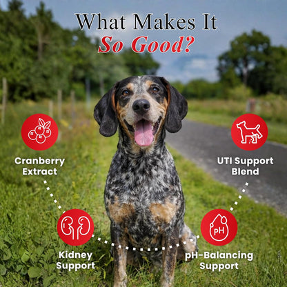 Petroyale Cranberry Chews for Dogs – Urinary Support & Bladder Health (30 Soft Chews)
