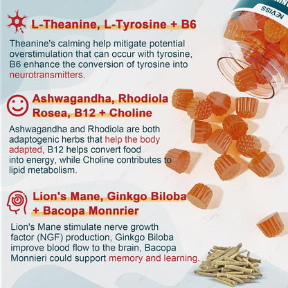 NEVISS 11-in-1 Brain Supplement Gummies for Memory and Focus, Pack of 2