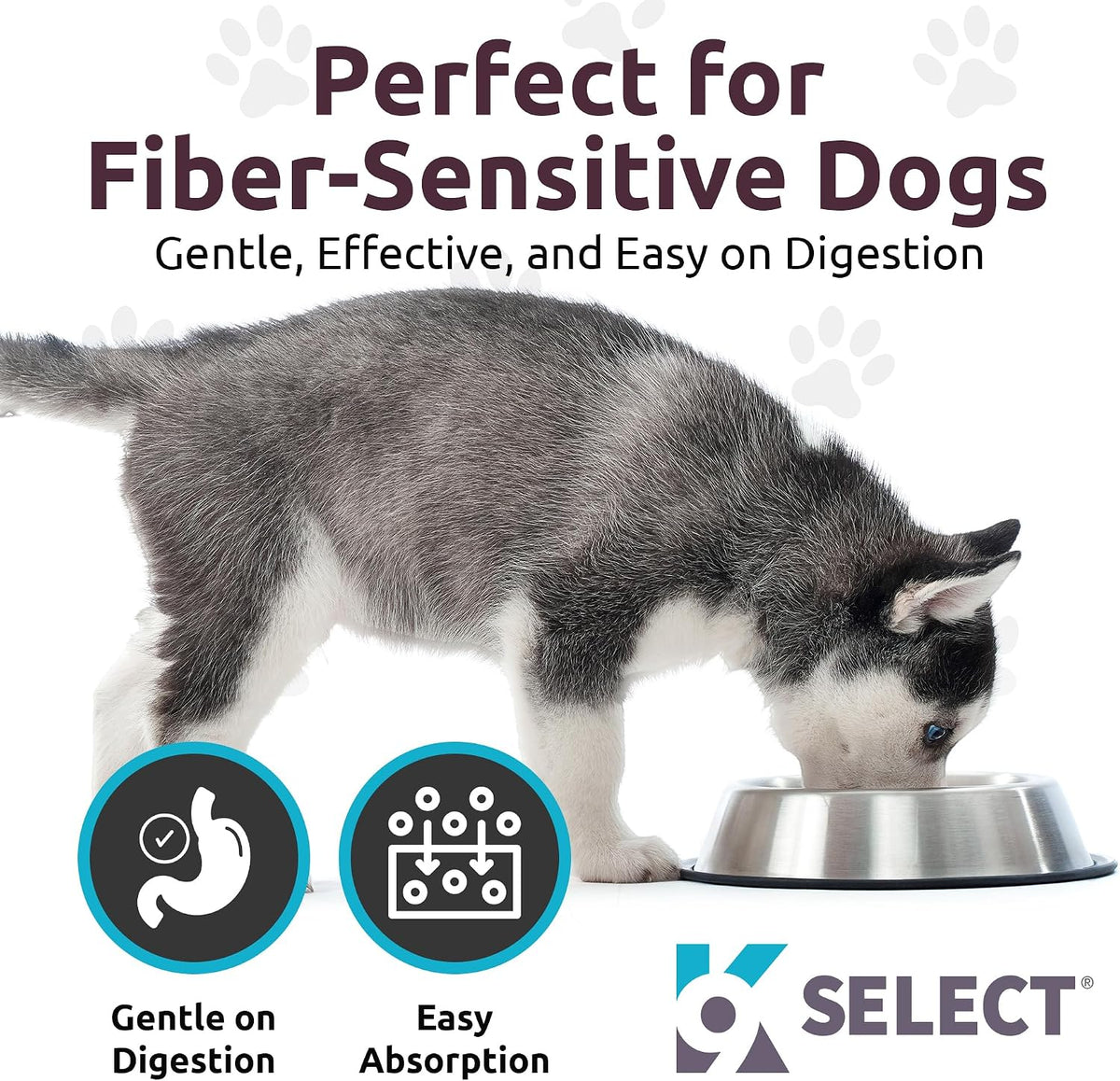 K9 Select HMR Lignans for Dogs – 20mg Norway Spruce Extract, 90 Tablets (Peanut Butter) - görsel 4