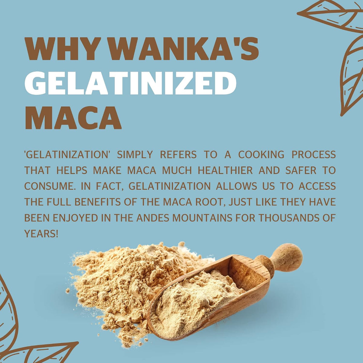 WANKA FOODS Organic Gelatinised Maca Powder, 8 oz (227 g) - görsel 4