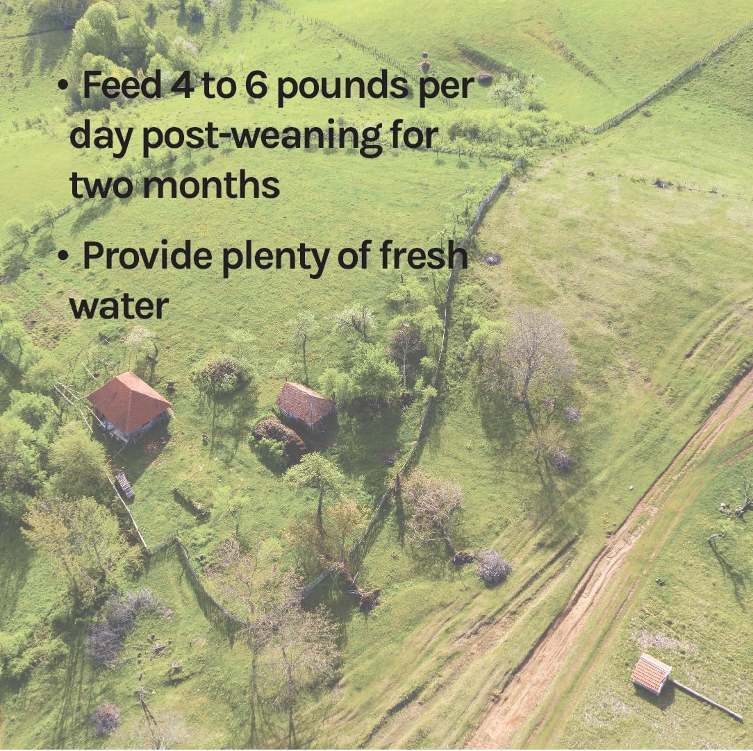 New Country Organics | Pig 16% Protein Feed for Growing Hogs and Pigs | Soya-Free | Certified Organic and Non-GMO | 18 kg - görsel 5