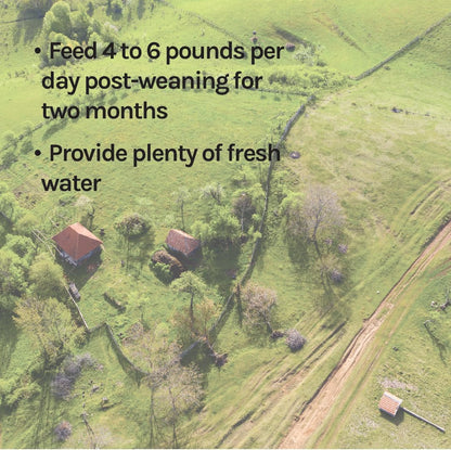 New Country Organics | Pig 16% Protein Feed for Growing Hogs and Pigs | Soya-Free | Certified Organic and Non-GMO | 18 kg