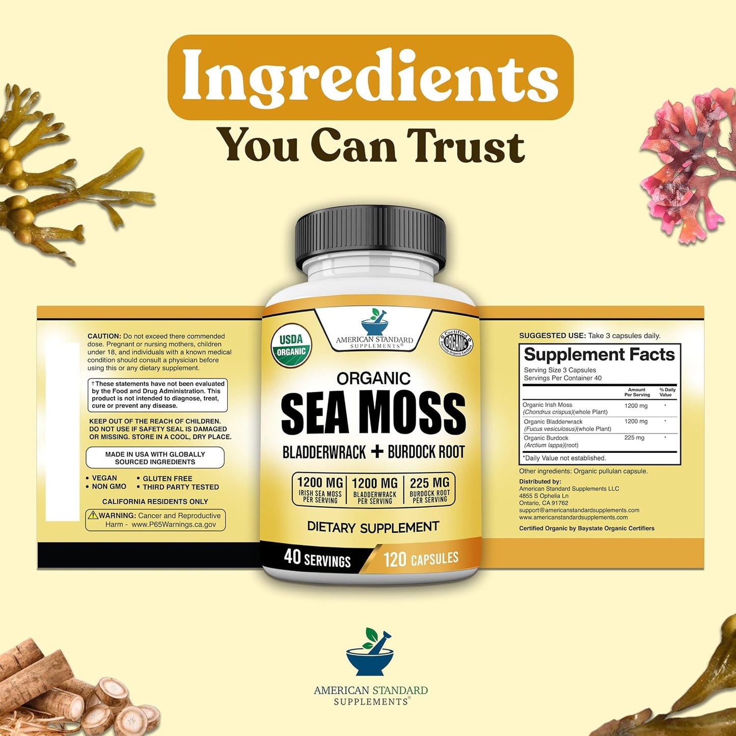 American Standard Supplements Organic Sea Moss, Bladderwrack & Burdock Root Capsules - 1200mg per Serving, 120 Capsules - görsel 8
