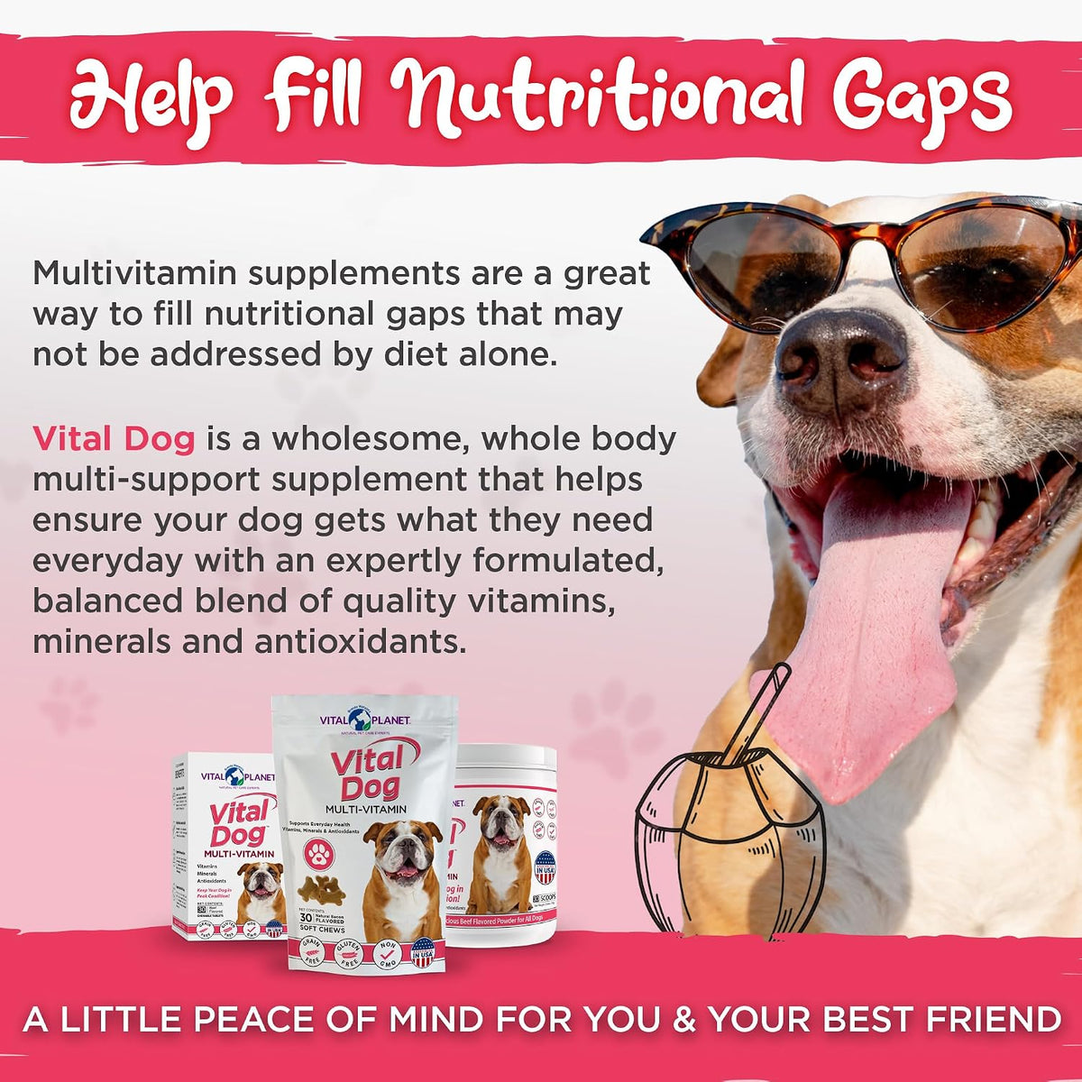 Vital Dog Multivitamin Powder – Beef Flavoured, 30 Servings - görsel 6