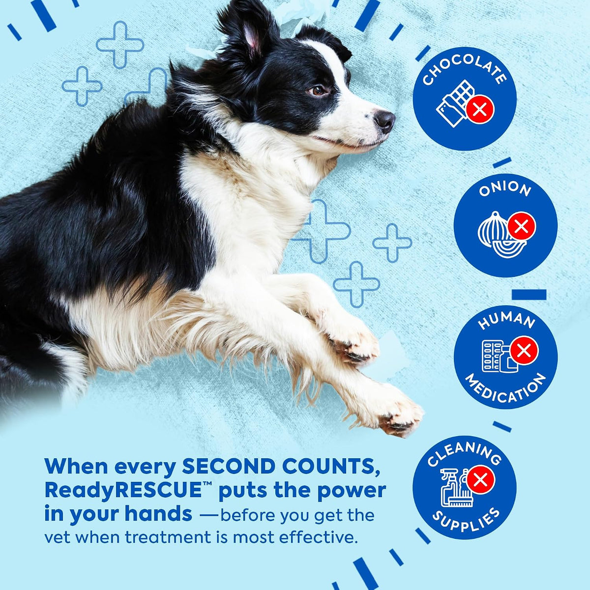 Activated Charcoal microspheres for Dogs and Cats - Veterinary-Grade Pet First Aid Kit Essential - Fast-Acting Emergency Poison Binder - Safe and Travel-Ready - 30g Pack of 12 - görsel 7