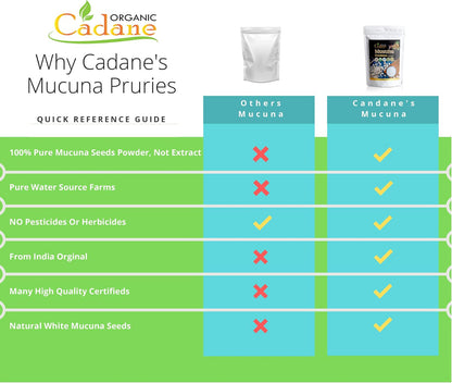 Organic Cadane Mucuna Pruriens Powder - 454g (1lb) - Certified Organic, Vegan & Non-GMO