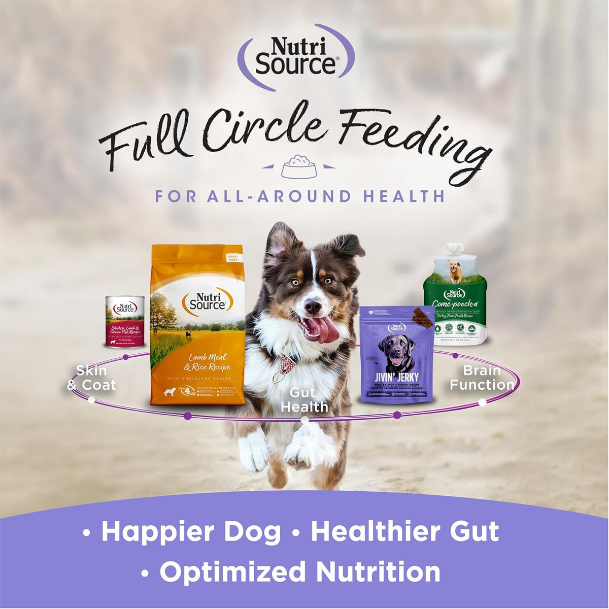 NutriSource AmpliFull Turkey Flavour Multivitamin Soft Chews for Dogs, Daily Supplement with Bovine Colostrum, Essential Vitamins & Minerals for Overall Health, 70 Chews (1 Pack) - görsel 5
